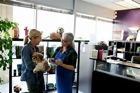 Pet food and Service